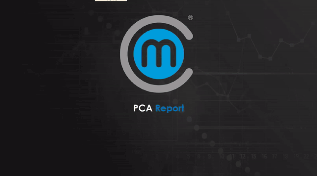 A post campaign analysis report