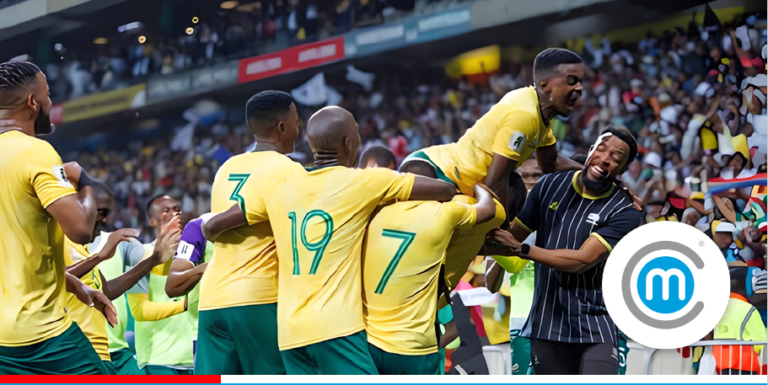 Sports fans celebrating
